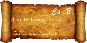 Csulik Barna névjegykártya